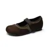 Zapatos planos Mary Jane retro para mujer, nueva colección otoño 2026, con cierre de velcro, tacón oculto, planos de punta fina estilo ballet y estilo mocasín