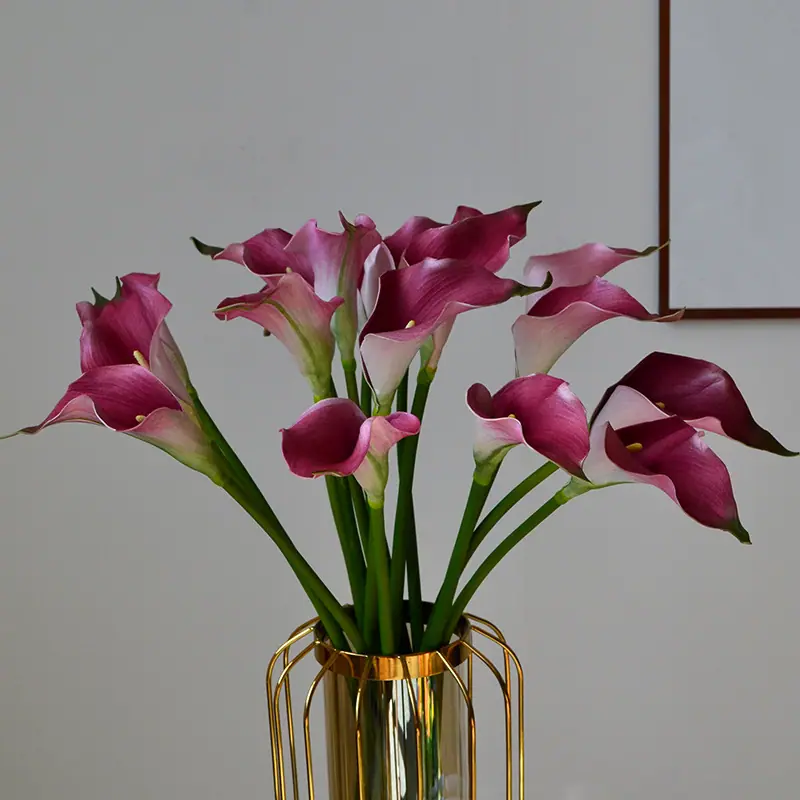 DSC_0772.jpg