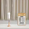 Nuevo Modelo de Maniquí Pequeño Mini con Capacidad de Inserción de Pines para Corte 3D, Diseñado Específicamente para Diseño de Ropa y Patronaje