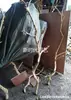 Galhos Secos, Galhos de Árvore Descascados, Arranjos de Flores, Troncos, Arte, Galhos Secos, Galhos Mortos com Galhos, Troncos de Árvore, Galhos de Árvore Criativos, Decoração de Teto