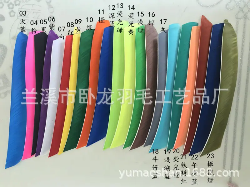 整根 (22)