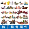 Pato, Pato Mandarín, Pato de Agua, Acuario, Tanque de Agua y Tierra, Tanque de Hierba, Acuario, Resina Cerámica, Paisajismo Animal, Pequeños Adornos Decorativos