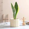 Plantas Verdes de Interior para Mesa de Escritório Vasos Pequenos Ornamentos Estilo Creme Absorção de Formaldeído Purificação do Ar Fácil de Manter em Todas as Estações