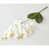 Flor Artificial Phalaenopsis de 2 Ramas Flor Artificial Impresa en 3D Phalaenopsis Tacto Suave Decoración Europea Phalaenopsis Venta al por Mayor y al Menor
