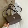 Bolso de Mano Shuai Mijia 2026 Primavera Nuevo con Patrón de Lichi Suave, Bolso Cuadrado Pequeño Estético de Alto Valor Único para Llevar en la Mano para Viajes Diarios