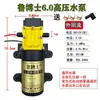Bomba de Agua Eléctrica Agrícola de 12V Bomba de Diafragma Bomba Autocebante de Alta Presión Motor de Bomba de Pulverización de Alta Potencia Hierro Fundido