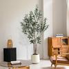 Temu Transfronteiriço Especializado em Plantas Verdes Simuladas, Plantas de Oliveira em Vasos, Sala de Estar Doméstica, Árvores Decorativas Falsas Grandes para Interior, Árvores Simuladas