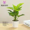 Fabricantes de Flores Artificiais Cuidadosamente Selecionados, Plantas Bonsai, Decorações Criativas para Interiores, Plantas Verdes Simuladas de Alta Qualidade, Plantas em Vasos, Amazon