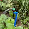 Microaspersor de solo para plantio, irrigador rotativo para árvores frutíferas, bico borboleta para mudas, estação de pulverização, paisagismo, bico para plantio no solo