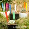Etiqueta de jardinería en barra de 100 pp, tarjeta de identificación de flores y plantas carnosas engrosadas, protector solar impermeable, tarjeta de jardinería