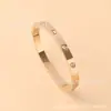 Pulsera de Acero de Titanio de Diez Diamantes de Moda Transfronteriza para Mujer, Pulsera de Acero Inoxidable Totalmente Incrustada, Joyería al por Mayor con Incrustaciones Completas de Diamantes