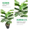 Simulação de Planta de Folha de Tartaruga Real Decoração de Folha Verde Decoração de Casa Simulação de Tartaruga Bambu Vaso de Flores Vaso de Plantas Paisagem