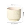 Atacado Vaso de Flores Nórdico Cerâmica Creme Estilo INS Light Luxo Avançado Simples Orquídea em Vaso Carnudo Planta Verde Vaso de Flores