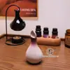 Olla de Aceite Esencial para Spa Tailandés Salón de Belleza Cerámica Hoja Botella de Aceite Esencial Aromaterapia Mezcla Dispensación Bandeja de Spa Set
