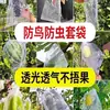 Enbolsado de Frutas, Enbolsado a Prueba de Insectos y Aves, Melocotón, Manzana, Guayaba y Pera Protección Especial Enbolsado de Árboles Frutales, Cubierta de Bolsa de Malla