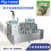 Máquina Envasadora al Vacío Totalmente Automática para Zongzi Máquina Envasadora al Vacío Tipo Bolsa Rotatoria para Tiras Picantes y Rodajas Picantes Snacks de Mostaza Encurtida