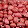 Lentilhas vermelhas pequenas grande quantidade de excelentes feijões vermelhos planos seleção de feijões vermelhos novas lentilhas vermelhas lentilhas feijões vermelhos