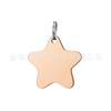 Suministro Transfronterizo Acero Inoxidable Etiqueta de Perro Estrella Esquina Redondeada Mascota Gato Etiqueta Estrella de Cinco Puntas Acero Titanio Etiqueta Mascota Etiqueta Colorida