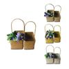 003L + M juego 2 asa arreglo floral colgante de pared cesta de flores artesanías tejido de pasto marino almacenamiento de regalos hierro cesta de pasto marino