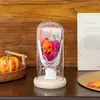 Presente de Halloween e Natal Transfronteiriço Cobertura de Vidro com Luz Buquê de Abóbora Atmosfera Festiva Luz Noturna Decoração de Mesa