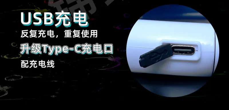 宠物项圈