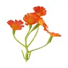 Flor de Margarida Pequena de Plástico Palha DIY Chapéu Decoração de Roupa Flor de Seda Flor Artificial Guirlanda Material Flor de Casamento