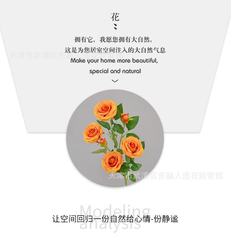 详情_05.png