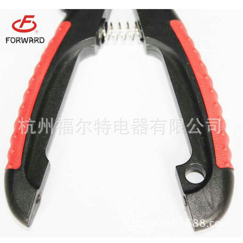 3935281195_1799352973