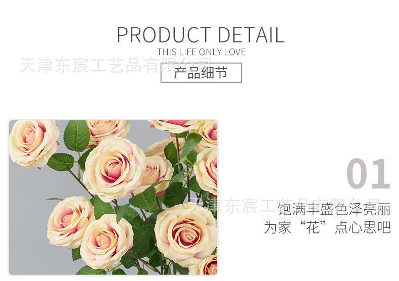 详情_08.png