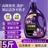 Detergente para Ropa con Fragancia a Perfume Francés para Uso Doméstico, Botella Grande, Fragancia de Larga Duración, Limpieza Profunda, Eliminación de Manchas, Venta al por Mayor