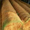 Fabricante de Manta de Coco River Revegetación Ecológica Plantación de Césped Manta para Pendientes Fabricante Mayorista Fibra Vegetal Antilavado Manta de Coco