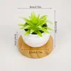 Atacado Simulação Plantas Verdes Criativas Suculentas de Mesa de Escritório Pequenos Enfeites Plantas Artificiais Flores Artificiais Plantas em Vasos