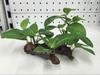 Masun Más Vendido Decoración para Acuario Plantas Acuáticas Artificiales Plantas Acuáticas Plantas Artificiales Decorativas