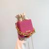 Bolso de Mano Mini de Cadena de Moda para Celebridad de Internet 2023 Verano Nuevo Estilo Estilo Occidental Bandolera de Hombro con Bolso Cuadrado Pequeño Trendy
