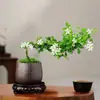 Planta Bonsai Murraya com Sete Galhos, Pequeno Ornamento de Planta Verde que Absorve Formaldeído, Decoração de Mesa Estilo Zen para Uso Interno
