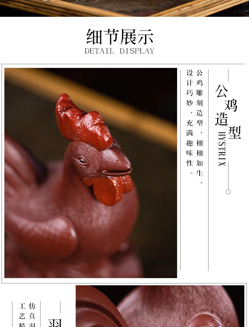 公鸡2020904 (22).jpg