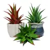 Maceta de planta suculenta artificial maceta falsa de aloe decoración plato de pegamento suave flor de plástico comercio exterior Venta al por mayor