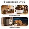 Alimentador automático de animais de estimação para comércio exterior, máquina de alimentação inteligente com controle remoto, temporizada e quantitativa, com vídeo e voz