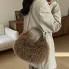 Bolso de peluche tipo dumpling exquisito estilo coreano ins, nuevo bolso de hombro versátil de moda 2026, bolso cruzado lindo y elegante