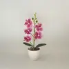 Impressão 3D 5 Orquídeas Phalaenopsis Bonsai Estudo Decoração de Sala de Estar Ornamentos de Flores Artificiais Restaurante Mesa Plantas Pequenas em Vasos