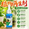 Agente de regeneração de plantas, ressurreição de flores líquidas, plantas verdes em vasos, haste de luz universal, amarelecimento, árvore da fortuna, crescimento carnudo, solução nutritiva