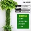 Paquete decoración tubería de agua corteza flor artificial ratán refugio pilar balcón tubería planta verde simulación plástico vid