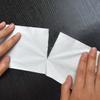 Papel Jumbo para Exportação de Comércio Exterior Transfronteiriço, Papel Jumbo para Hotel, Papel Jumbo 800g, Papel Higiênico em Rolo Jumbo