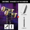 Luz de Relleno de Alta Potencia 300W para Transmisión en Vivo Especializada para Fotografía y Sesiones de Fotos, Luz Suave para Streamers, Iluminación de Belleza Luz LED