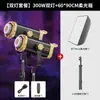 Luz de Preenchimento para Transmissão ao Vivo de 300W, Luz para Fotografia para Montagem de Sala de Transmissão ao Vivo, Refletor Esférico com Grade Constante, Lâmpada Solar de Alto Brilho