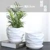 Maceta Bandeja de Cerámica con Cinturón Tamaño Grande Mediano Pequeño Oferta Especial Liquidación Verde Rot Orquídea Maceta para Plantas Verdes del Hogar Maceta Suculenta Envío Gratis