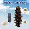 Fábrica de pepinos de marVenta al por mayor de pepinos de mar secos, Productos secos de pepino de Liao, Suministro directo del fabricante, Disponible para dropshipping, 50g Natural