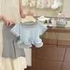 Traje de Niña Verano 2026 Nuevo Estilo Coreano Camiseta de Manga Corta para Bebé Pantalones Largos Pantalones Acampanados Conjunto de Dos Piezas Moderno