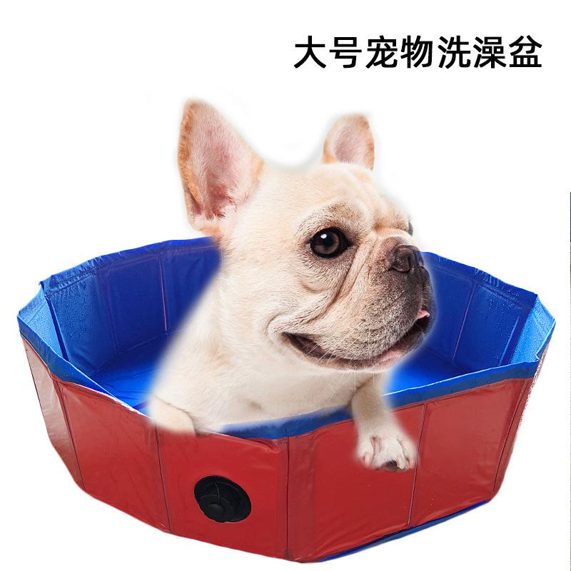 宠物盆 封面1.jpg