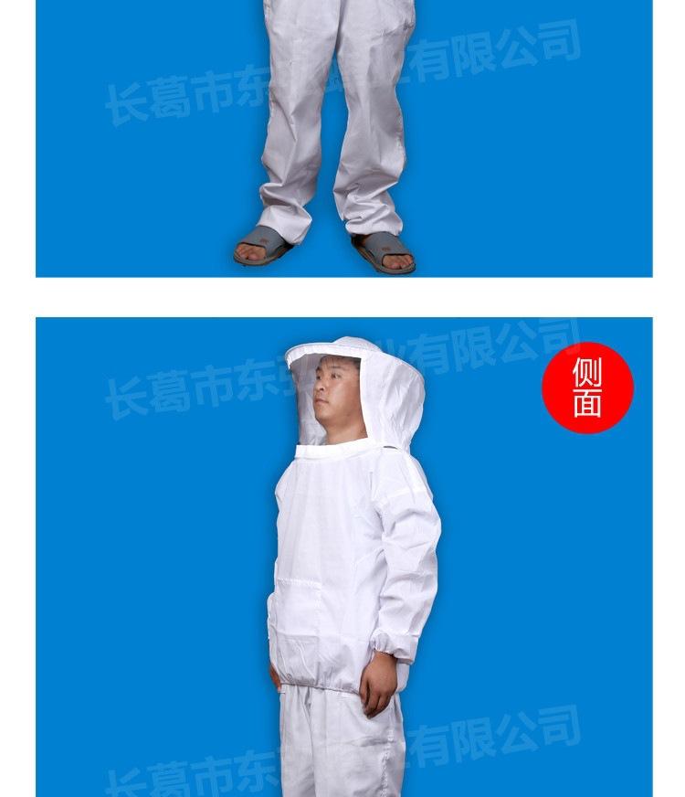 分体